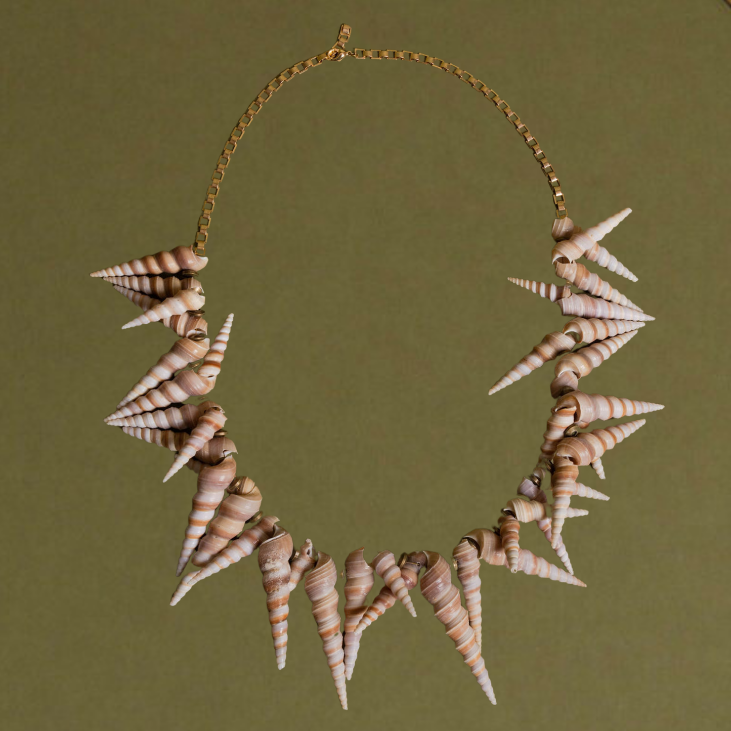 Turritella Seashell Necklace