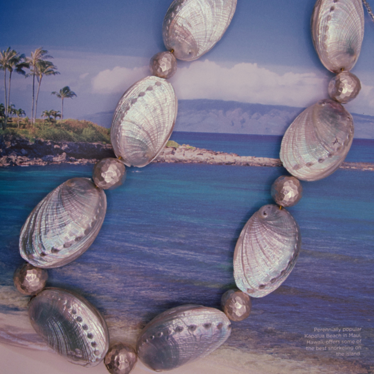 Abalone Shell Body Jewelry