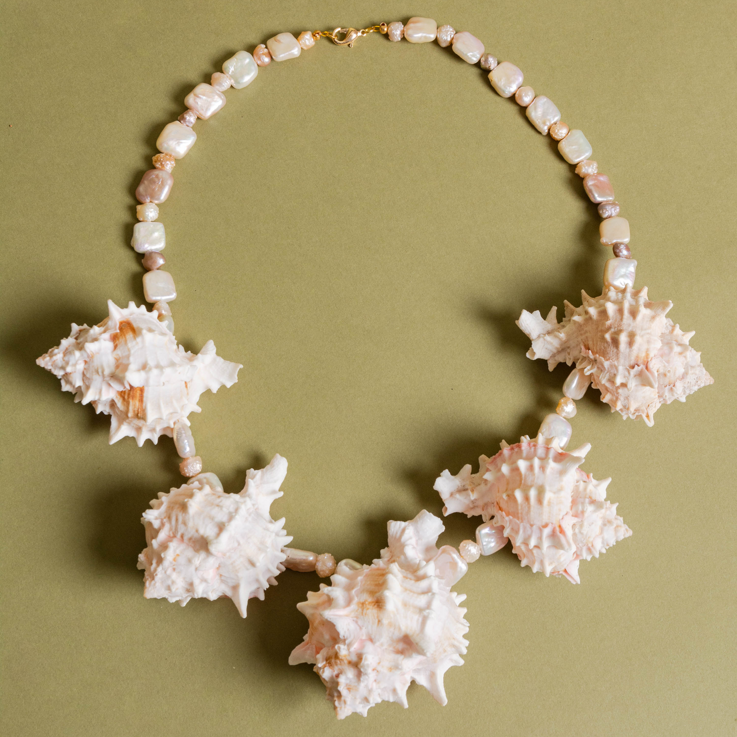 Natural Bursa Shell Necklace