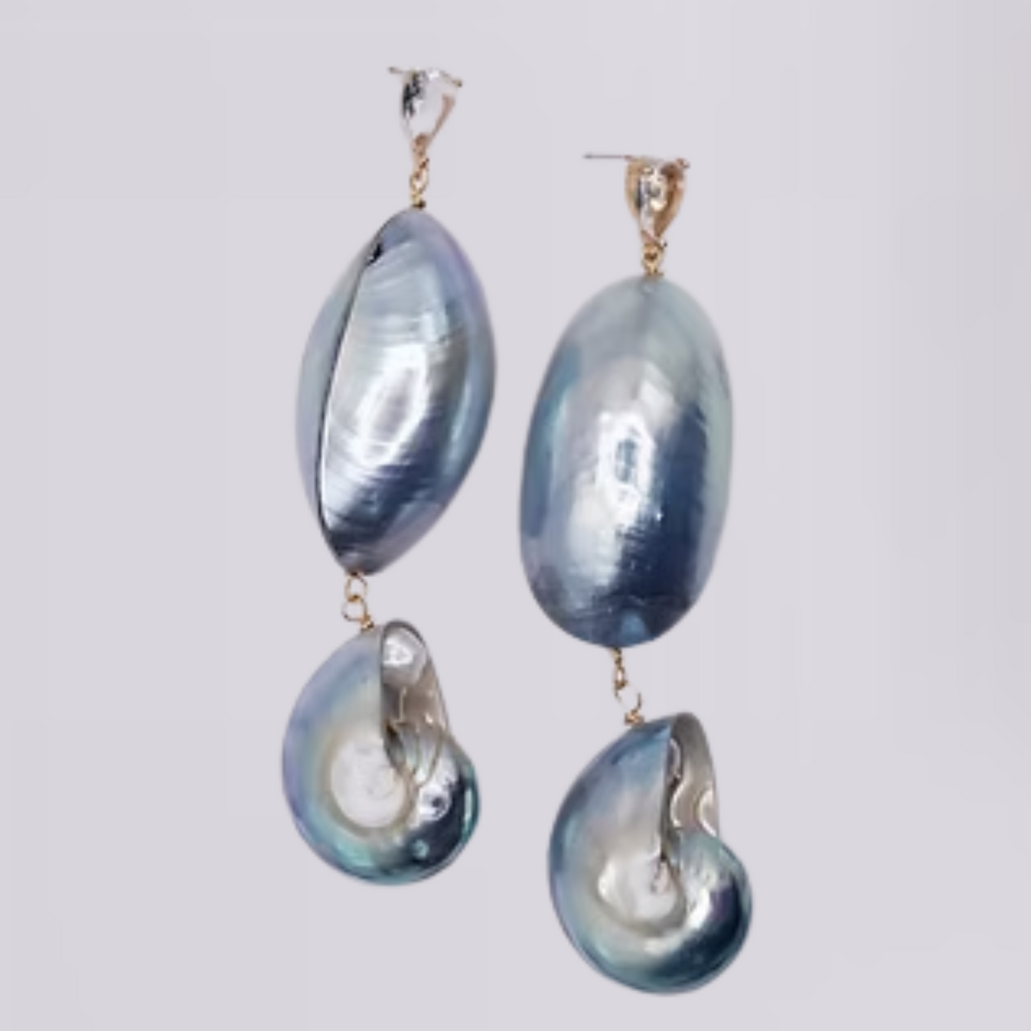 Blue Nautilus Earrings