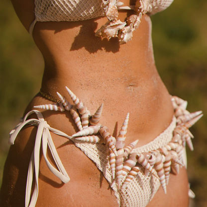 Turritella Seashell Necklace