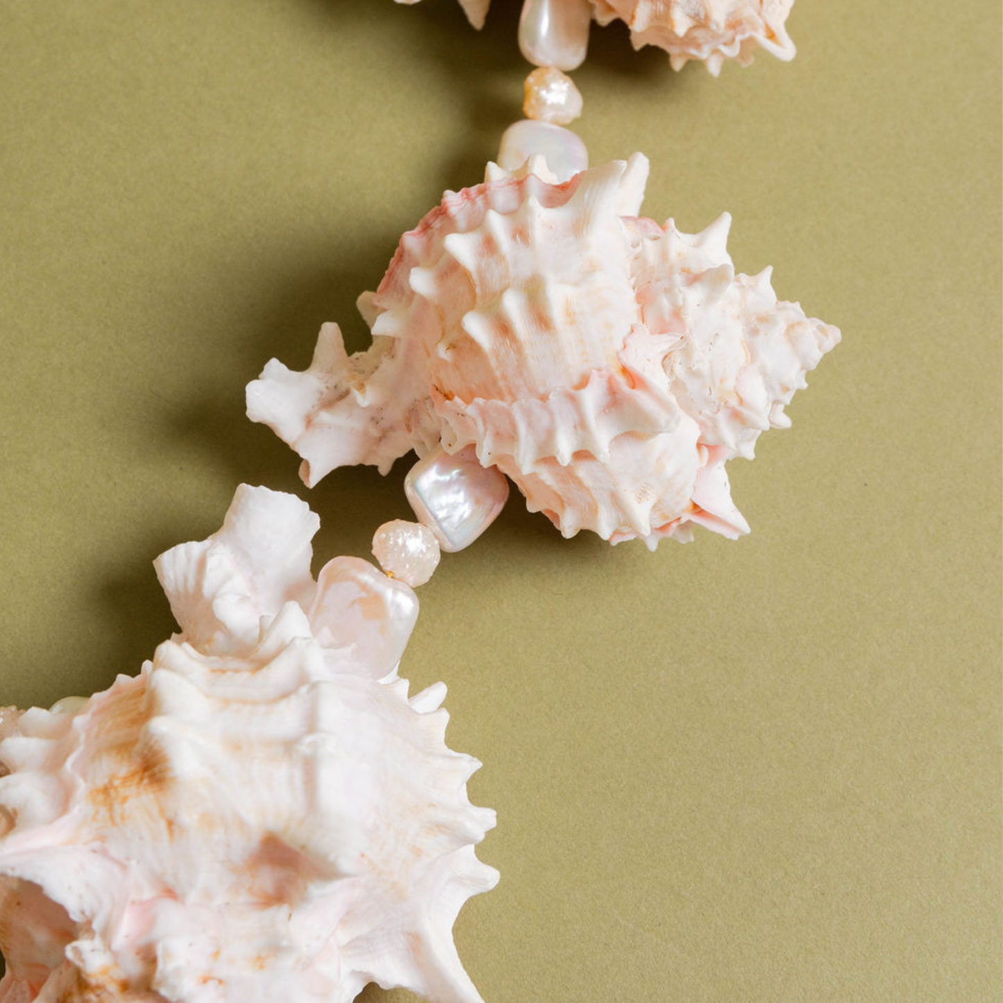 Natural Bursa Shell Necklace