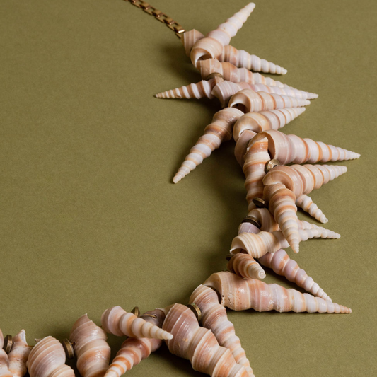 Turritella Seashell Necklace