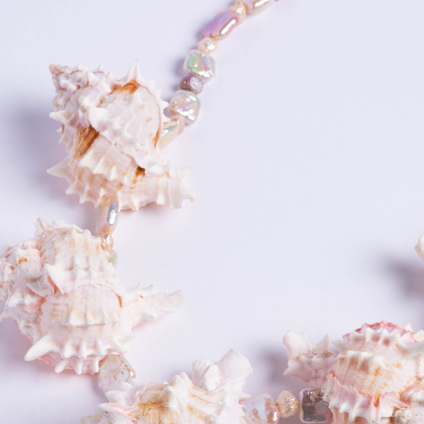 Natural Bursa Shell Necklace